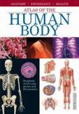 The Human Body