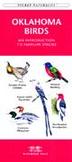 Oklahoma Birds : A Folding Pocket Guide to Familiar Species