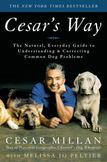 Cesars Way : The Natural, Everyday Guide to Understanding and Correcting Common Dog Problems