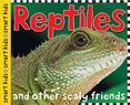 Reptiles and Other Scaly Friends