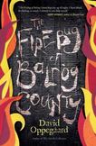 The Firebug of Balrog County