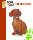 Dachshund
