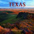Texas : Portrait of a State