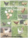 Raising Chickens from Scratch