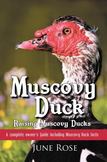Muscovy Duck: Raising Muscovy Ducks