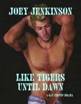 Like Tigers Until Dawn: A Gay Erotic Drama