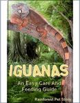 Iguanas: An Easy Care and Feeding Guide