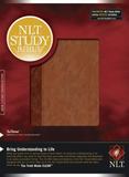 Study Bible