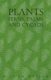 Plants - Ferns, Palms and Cycads