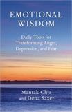 Emotional Wisdom: Daily Tools for Transforming Anger, Depression, and Fear