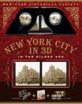 New York City in 3D : In the Gilded Age
