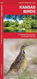 Kansas Birds : A Folding Pocket Guide to Familiar Species