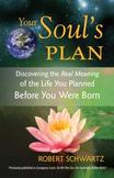 Your Soul's Plan eChapters - Chapter 2: Physical Illness: Discovering the Real Meaning of the Life You Planned Before You Were Born