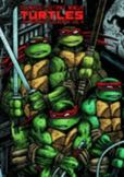 Teenage Mutant Ninja Turtles Vol. 4 : The Ultimate Collection