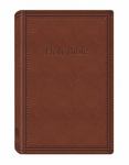 KJV Deluxe Gift and Award Bible