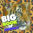 Big Book of Animals: Children's Book of Animal Fun Facts