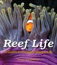 Reef Life : A Guide to Tropical Marine Life