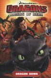 DreamWorks Dragons Vol. 1 : Dragon Down (How to Train Your Dragon TV)