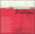 The Voice of Puccini