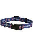 University Of Arizona Small Dog Collar