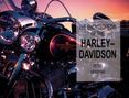 Encyclopedia Of Harley Davidson