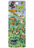 FROGS 3D Hanging Around