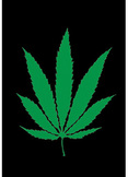 Dragon Flame Blacklight Fabric Poster
