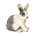 Rabbit Sitting