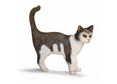 Cat Standing