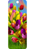 Totally Tulips 3D