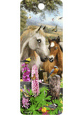 Summer Meadow 3D