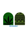 Leaf Reversible Green Beanie