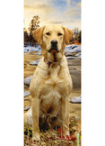 Lab Retrievers 4D Bookmark