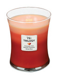 Exotic Spices Trilogy Med Candle