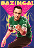 Big Bang Theory Sheldon Magnet