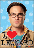 Big Bang Theory Leonard Magnet