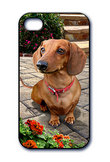 Lenticular iPhone 5 Dachshund Cover