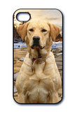 Lenticular iPhone 5 Retriever Cover