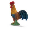 Rooster