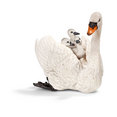 White Swan With Cygnet