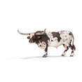 Texas Longhorn Bull