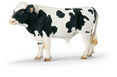 Holstein Bull