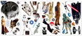 Star Wars Classic Peel & Stick Wall Decal