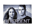 Divergent Tris and Four Swirls Pillowcase