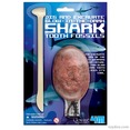 Dig a Glow Shark Tooth