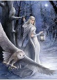 Midnight Messenger - 1000 pc puzzle