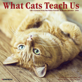 2016 What Cats Teach Us Wall Calendar