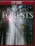 Mystic Forest