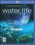 Water Life: The Big Blue