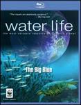 Water Life: The Big Blue